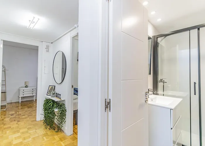 Your Large Family In Zaragoza