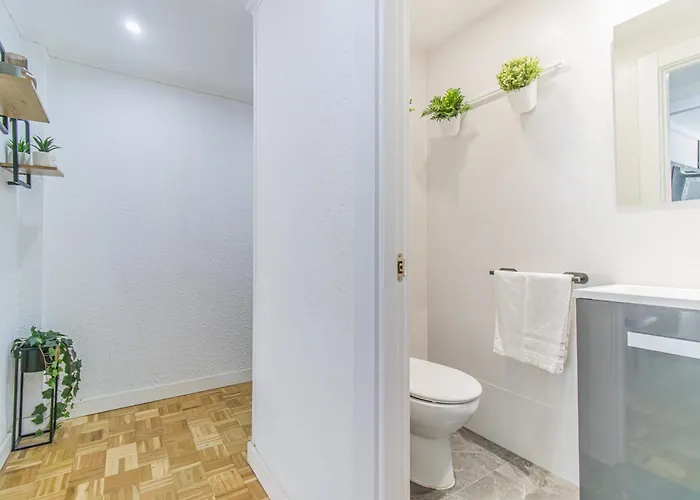 Your Large Family In Zaragoza